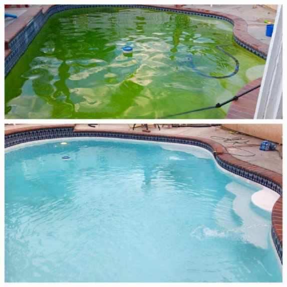 Clear pool after Green To Clean service