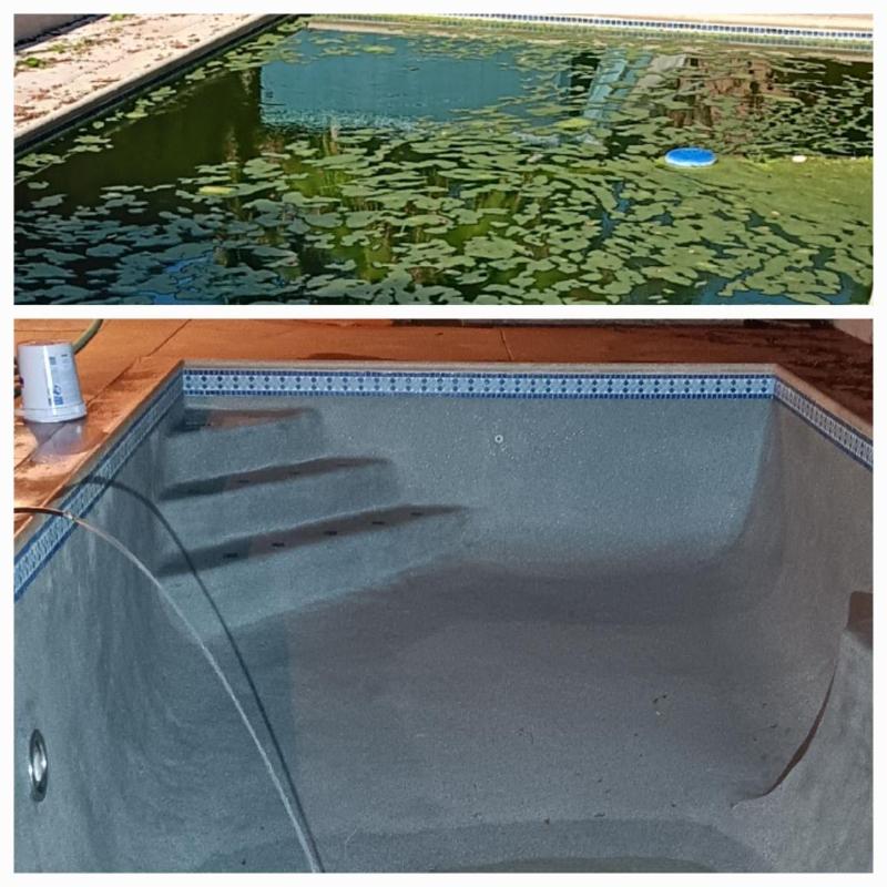 Green pool before Green To Clean service